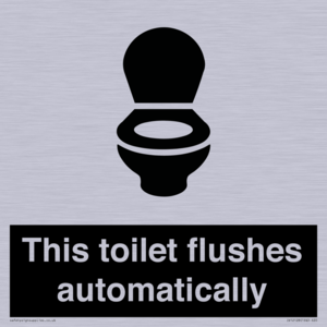 IV12128: This toilet flushes automatically