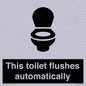 IV12128: This toilet flushes automatically