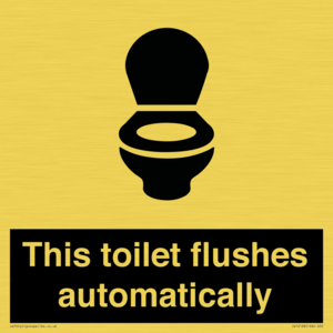 IV12128: This toilet flushes automatically