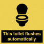 IV12128: This toilet flushes automatically