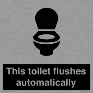 IV12128: This toilet flushes automatically