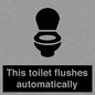 IV12128: This toilet flushes automatically