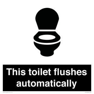 IV12128: This toilet flushes automatically