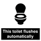 IV12128: This toilet flushes automatically