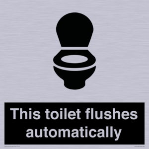 IV12128: This toilet flushes automatically
