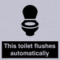 IV12128: This toilet flushes automatically