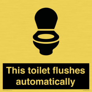 IV12128: This toilet flushes automatically