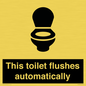 IV12128: This toilet flushes automatically