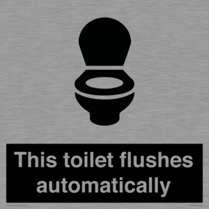 IV12128: This toilet flushes automatically