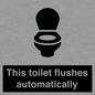 IV12128: This toilet flushes automatically