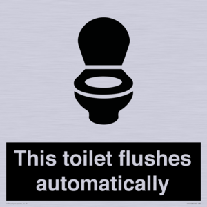 IV12128: This toilet flushes automatically