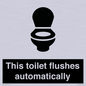 IV12128: This toilet flushes automatically
