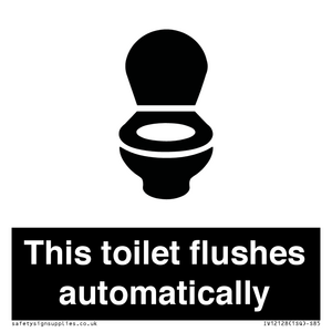 IV12128: This toilet flushes automatically