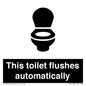 IV12128: This toilet flushes automatically