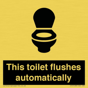 IV12128: This toilet flushes automatically