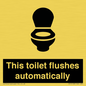IV12128: This toilet flushes automatically