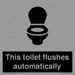IV12128: This toilet flushes automatically