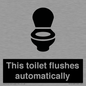IV12128: This toilet flushes automatically