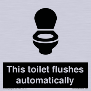 IV12128: This toilet flushes automatically