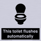 IV12128: This toilet flushes automatically