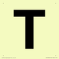 IV13350: Letter T
