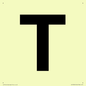 IV13350: Letter T