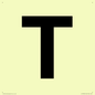 IV13350: Letter T