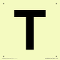 IV13350: Letter T