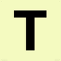 IV13350: Letter T