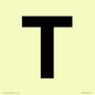 IV13350: Letter T