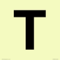 IV13350: Letter T