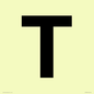 IV13350: Letter T