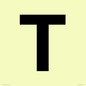 IV13350: Letter T