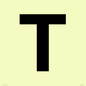 IV13350: Letter T