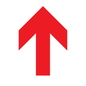 IV14234: Red Up Arrow