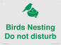 IV16913: Birds Nesting Do not disturb