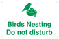 IV16913: Birds Nesting Do not disturb