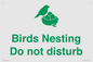 IV16913: Birds Nesting Do not disturb
