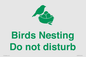 IV16913: Birds Nesting Do not disturb
