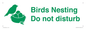 IV16913: Birds Nesting Do not disturb