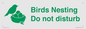 IV16913: Birds Nesting Do not disturb