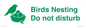 IV16913: Birds Nesting Do not disturb