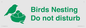 IV16913: Birds Nesting Do not disturb