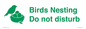 IV16913: Birds Nesting Do not disturb