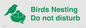 IV16913: Birds Nesting Do not disturb