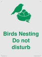 IV16913: Birds Nesting Do not disturb