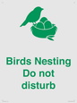 IV16913: Birds Nesting Do not disturb