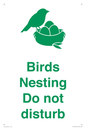 IV16913: Birds Nesting Do not disturb