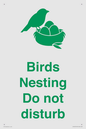 IV16913: Birds Nesting Do not disturb