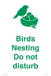 IV16913: Birds Nesting Do not disturb